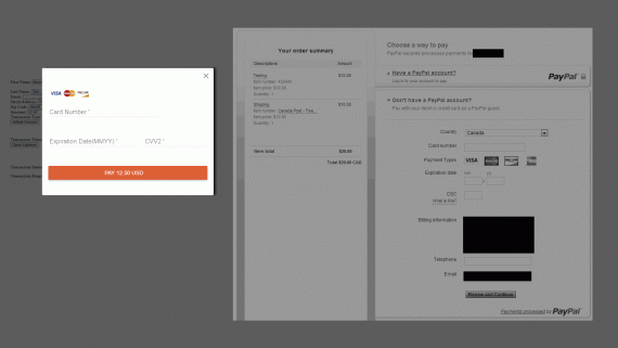 Hosted-Payments-HPP-HPF